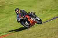 Lower Group Orange Bikes